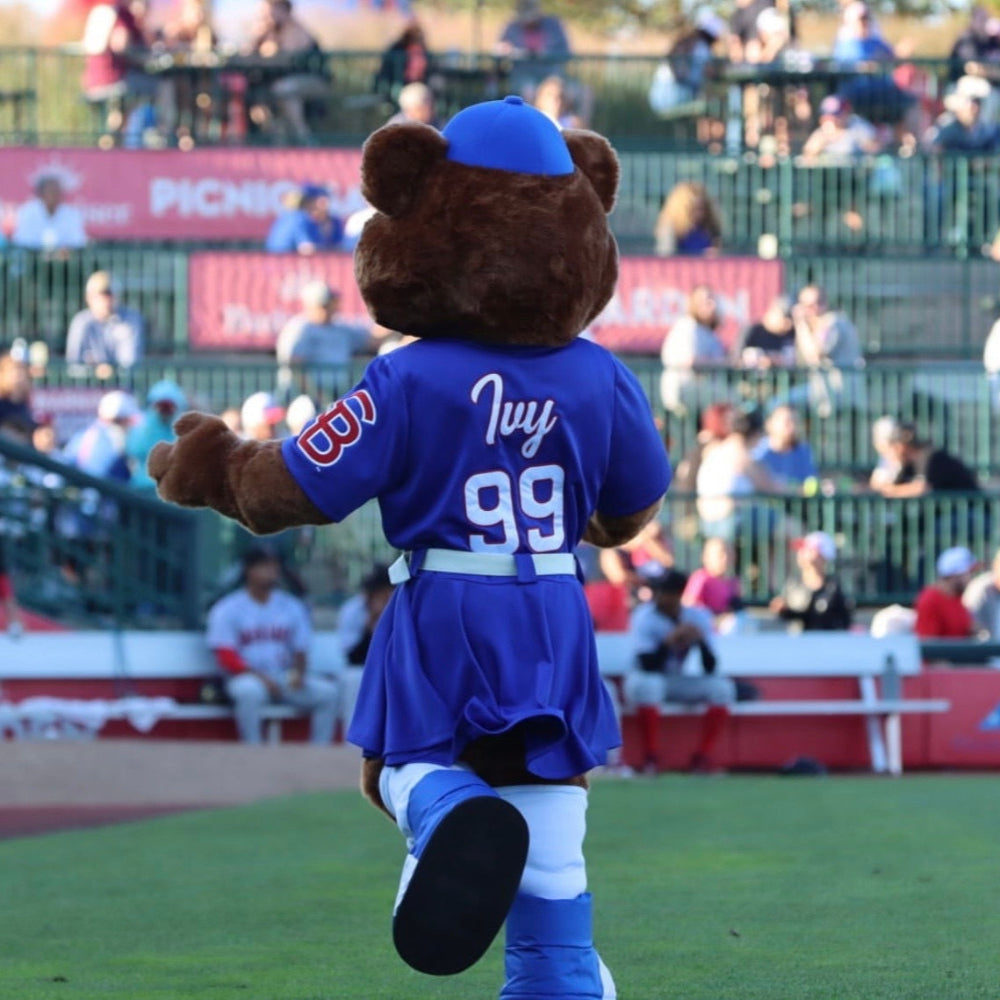South Bend Cubs Toddler/Girls Replica Ivy Dress 2T South Bend Cubs Toddler/Girls Replica Ivy Dress 2T