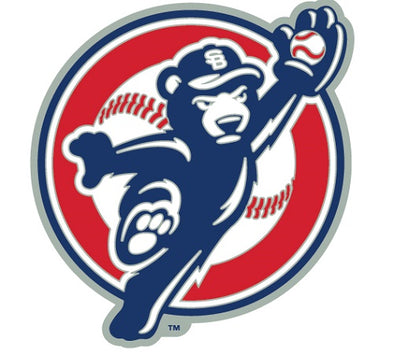 South Bend Cubs Men's Replica Pinstripe Jersey Button Front – Cubs Den Team  Store